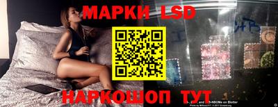 ALPHA PVP Гудермес