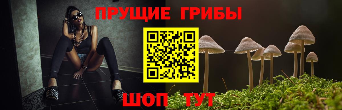 Псилоцибиновые грибы Magic Shrooms Ачхой-Мартан